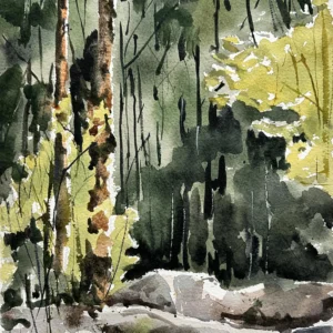 P00033-Forest
