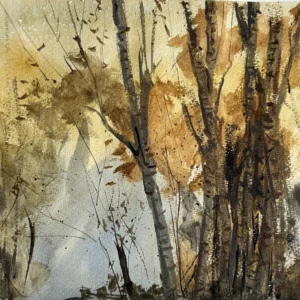 P00036-Autumn Forest Scenes