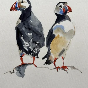 P00058-Puffins Bird
