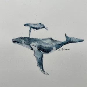 P00063- whale watchings