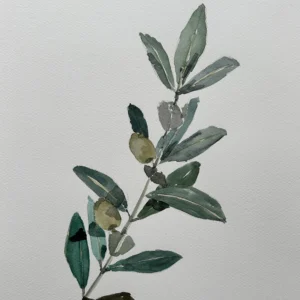 P00070-extending an Olive Branch