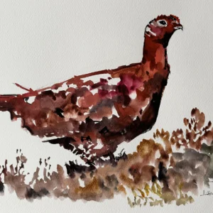 P00075-the famous Grouse, is it?