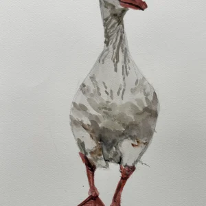 P00082- Quackity-Quacks