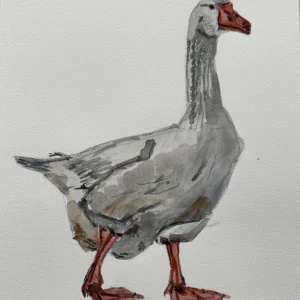 P00083- Quackity-Quack