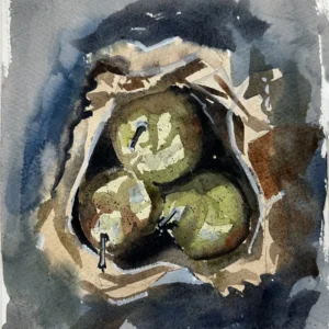 P00088- Still-life scenes