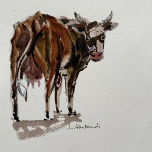 P00089- Moooo!