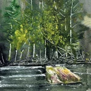 P00090- woods and streams