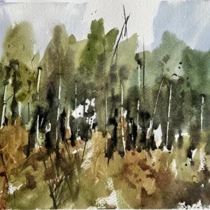 P00096- woods and trees